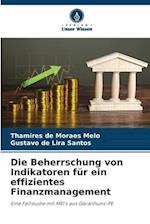 Die Beherrschung von Indikatoren für ein effizientes Finanzmanagement