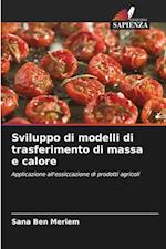 Sviluppo di modelli di trasferimento di massa e calore