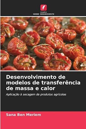 Desenvolvimento de modelos de transferência de massa e calor