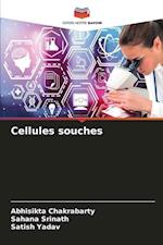 Cellules souches