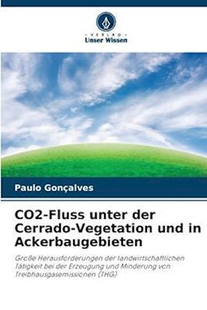 CO2-Fluss unter der Cerrado-Vegetation und in Ackerbaugebieten