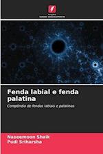 Fenda labial e fenda palatina