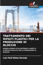 TRATTAMENTO DEI RIFIUTI PLASTICI PER LA PRODUZIONE DI BLOCCHI