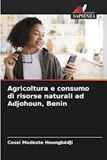 Agricoltura e consumo di risorse naturali ad Adjohoun, Benin