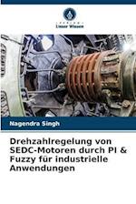 Drehzahlregelung von SEDC-Motoren durch PI & Fuzzy für industrielle Anwendungen