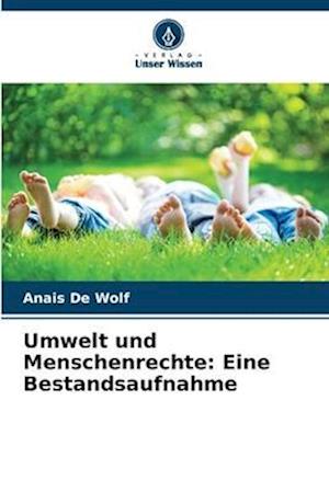 Umwelt und Menschenrechte: Eine Bestandsaufnahme