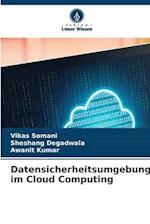 Datensicherheitsumgebung im Cloud Computing