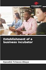 Establishment of a business incubator