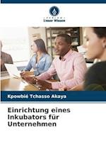 Einrichtung eines Inkubators für Unternehmen