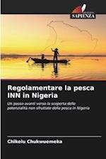 Regolamentare la pesca INN in Nigeria