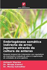 Embriogénese somática indirecta de arroz Japonica através da cultura de anteras