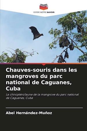 Chauves-souris dans les mangroves du parc national de Caguanes, Cuba