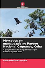 Morcegos em manguezais no Parque Nacional Caguanes, Cuba