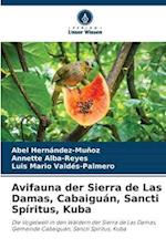 Avifauna der Sierra de Las Damas, Cabaiguán, Sancti Spíritus, Kuba