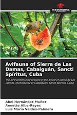 Avifauna of Sierra de Las Damas, Cabaiguán, Sancti Spíritus, Cuba