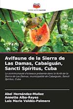 Avifaune de la Sierra de Las Damas, Cabaiguán, Sancti Spíritus, Cuba