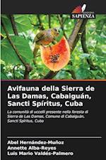 Avifauna della Sierra de Las Damas, Cabaiguán, Sancti Spíritus, Cuba