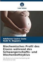 Biochemisches Profil des Eisens während des Schwangerschafts- und Wochenbettzyklus