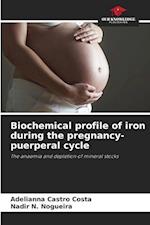 Biochemical profile of iron during the pregnancy-puerperal cycle
