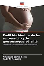 Profil biochimique du fer au cours du cycle grossesse-puerpéralité