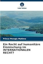 Ein Recht auf humanitäre Einmischung im INTERNATIONALEN RECHT?