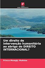 Um direito de intervenção humanitária ao abrigo do DIREITO INTERNACIONAL?