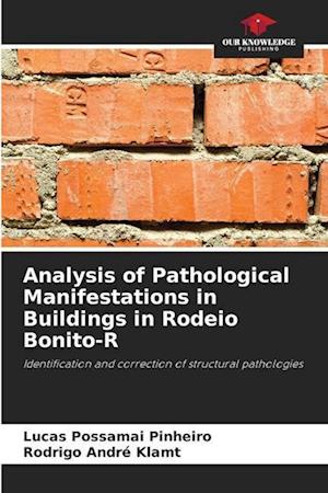 Analysis of Pathological Manifestations in Buildings in Rodeio Bonito-R