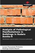 Analysis of Pathological Manifestations in Buildings in Rodeio Bonito-R