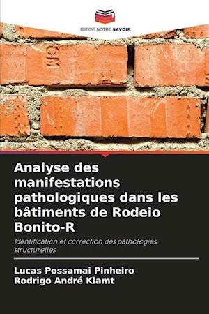 Analyse des manifestations pathologiques dans les bâtiments de Rodeio Bonito-R