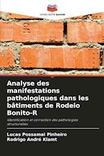 Analyse des manifestations pathologiques dans les bâtiments de Rodeio Bonito-R