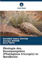 Ökologie des Baumpangolins (Phataginus tricuspis) in Nordbenin