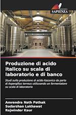 Produzione di acido italico su scala di laboratorio e di banco