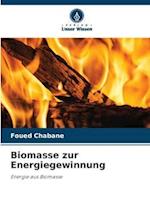 Biomasse zur Energiegewinnung