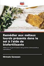 Remédier aux métaux lourds présents dans le sol à l'aide de biofertilisants