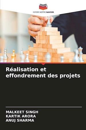 Réalisation et effondrement des projets