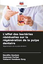 L'effet des bactéries résiduelles sur la régénération de la pulpe dentaire