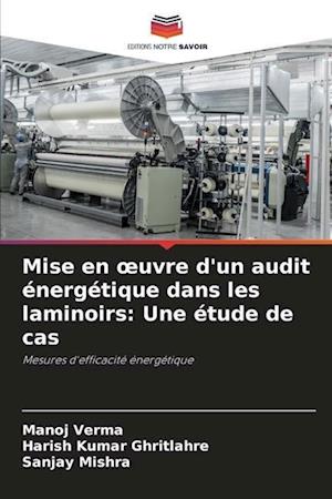 Mise en ¿uvre d'un audit énergétique dans les laminoirs: Une étude de cas