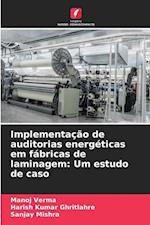 Implementação de auditorias energéticas em fábricas de laminagem: Um estudo de caso