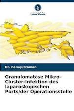 Granulomatöse Mikro-Cluster-Infektion des laparoskopischen Ports/der Operationsstelle