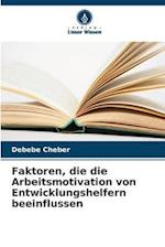 Faktoren, die die Arbeitsmotivation von Entwicklungshelfern beeinflussen