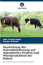 Auswirkung der Getreidefütterung auf mikrobielles Protein und Milchproduktion bei Kühen