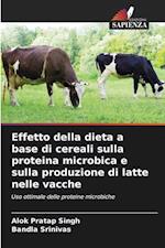 Effetto della dieta a base di cereali sulla proteina microbica e sulla produzione di latte nelle vacche