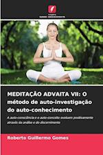 MEDITAÇÃO ADVAITA VII: O método de auto-investigação do auto-conhecimento