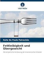 Fettleibigkeit und Übergewicht