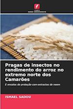 Pragas de insectos no rendimento do arroz no extremo norte dos Camarões