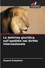 La dottrina giuridica sull'apolidia nel diritto internazionale