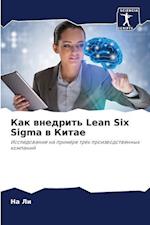 Kak wnedrit' Lean Six Sigma w Kitae