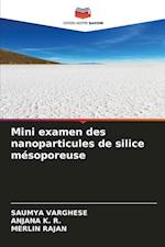 Mini examen des nanoparticules de silice mésoporeuse