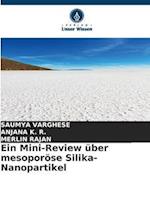 Ein Mini-Review über mesoporöse Silika-Nanopartikel