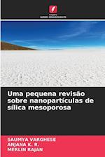 Uma pequena revisão sobre nanopartículas de sílica mesoporosa